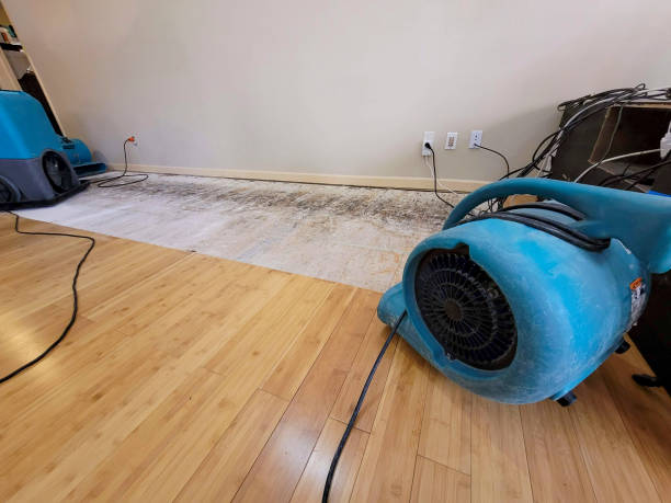 Professional Structural Drying technician working in Delano, TN